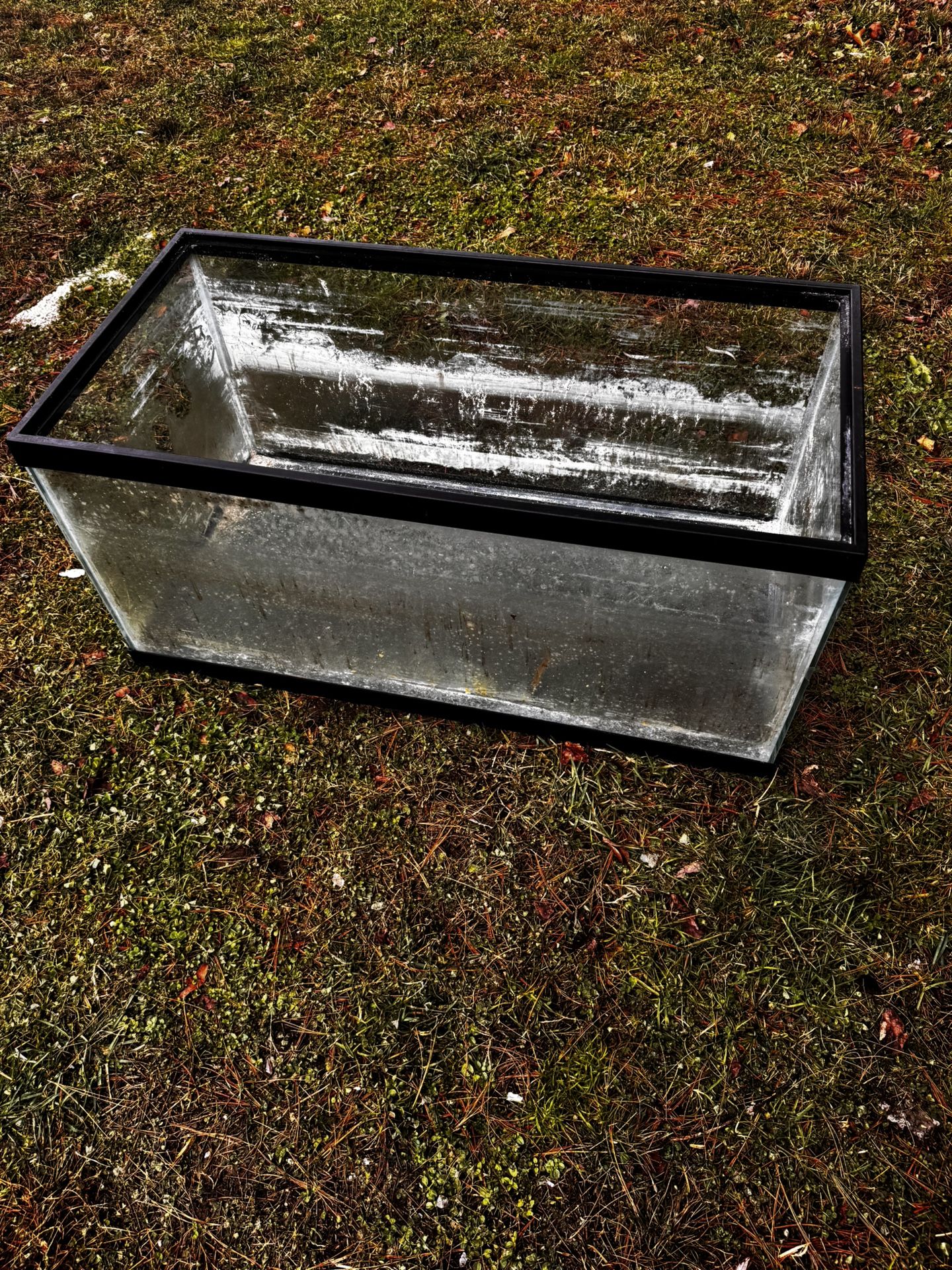 40 Gallon Fish Tank