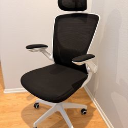 Ergonomic Office Chair 