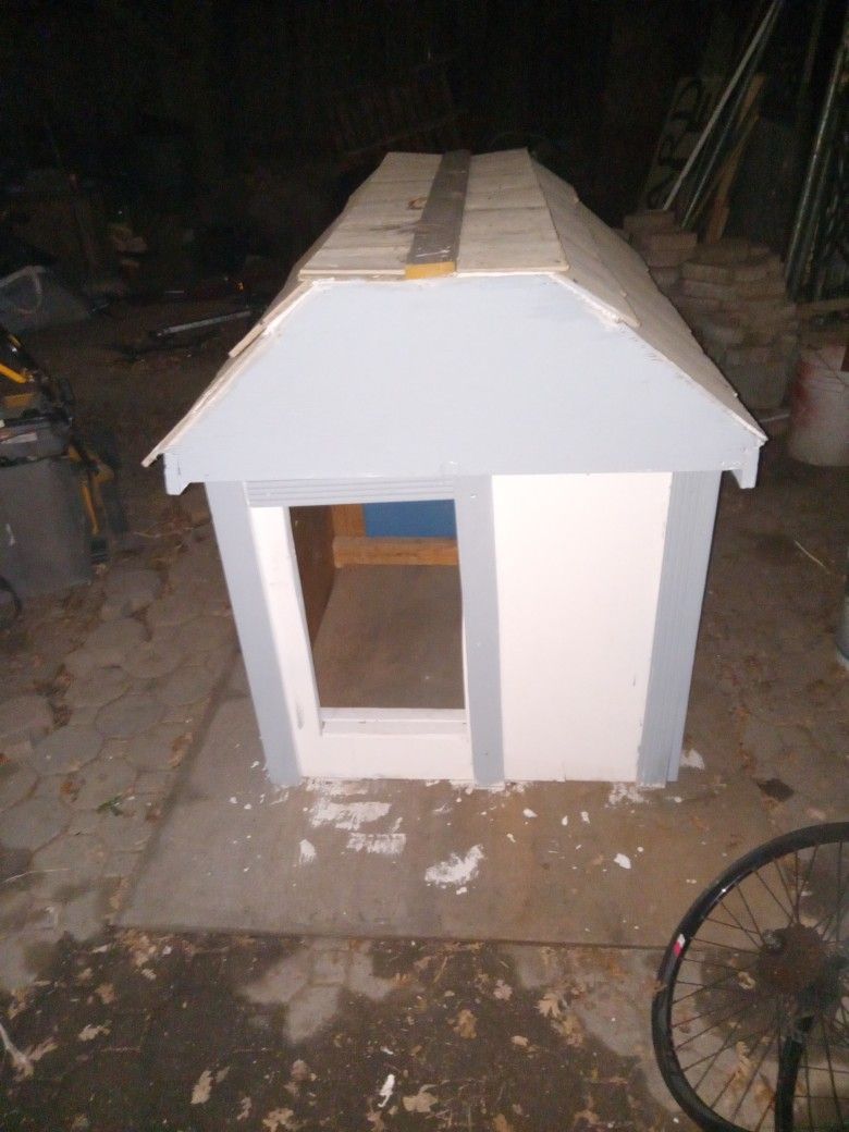 DOG HOUSE 
