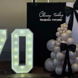 Backdrops With Balloon Garlands  