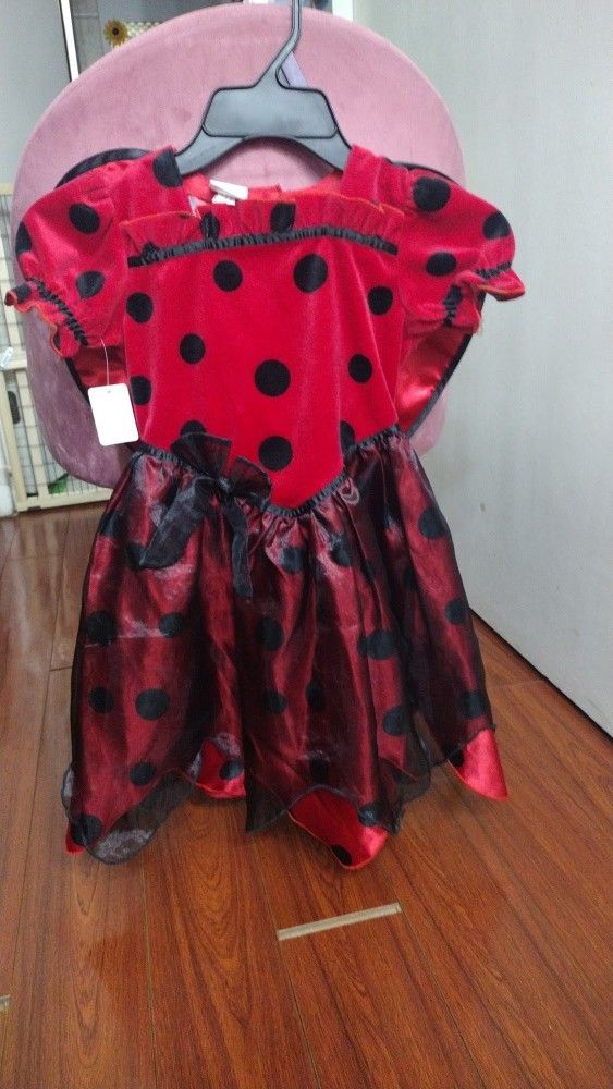 Lady Bug Costume