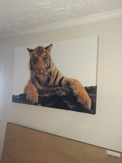 🐯Amazing Tiger Painting On Canvas🐯