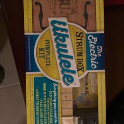 The Electric Strum Box 