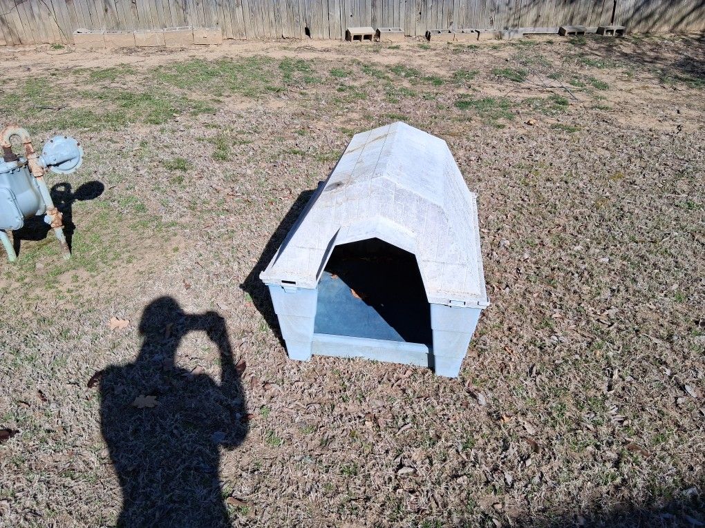 Dog House