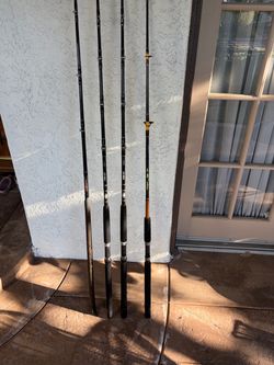 Saltwater fishing rods Penn, Ugly Stick 7ft
