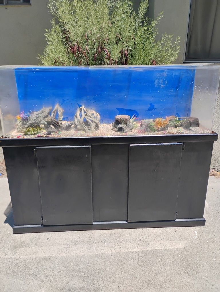 100 Gallon Acrylic Aquarium With Stand