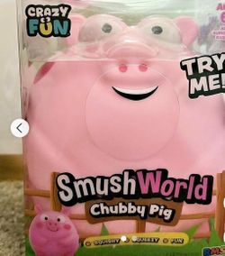 Chubby Pig Squishy