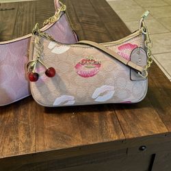 Coach Teri Mini Crossbody Bag