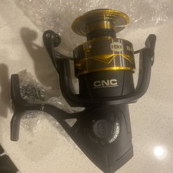 New Penn Battle IV 6000 reel