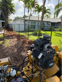 🌴2026 Rayco Stump Grinding🪵