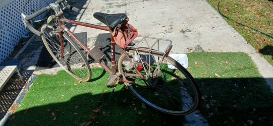Fuji Bike