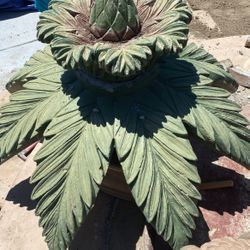 Palm Tree Fountain From Mexico 