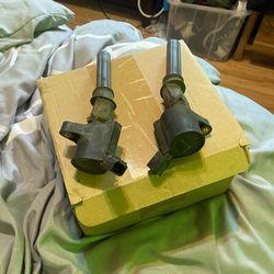 Bobinas Expedition 2003