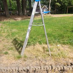 Warner 6 Foot Ladder