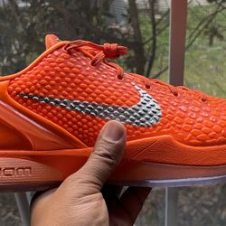 Brand New Nike Kobe 6 Protro sz 10