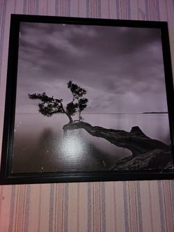 Moises Levy Still Life Hanging Art