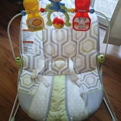 Babys First Bouncer