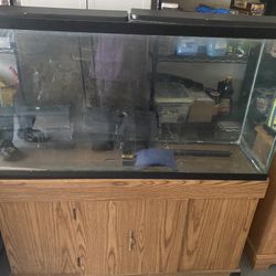 60 Gallon Tank & 10 Gallon Fish Tank 