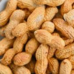 Fresh Roasted Peanuts