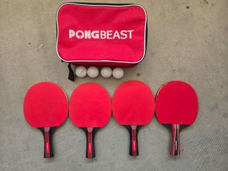 Pong Beast ping pong table pro paddles