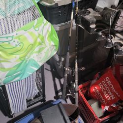 ² Fishing Rods With Real 