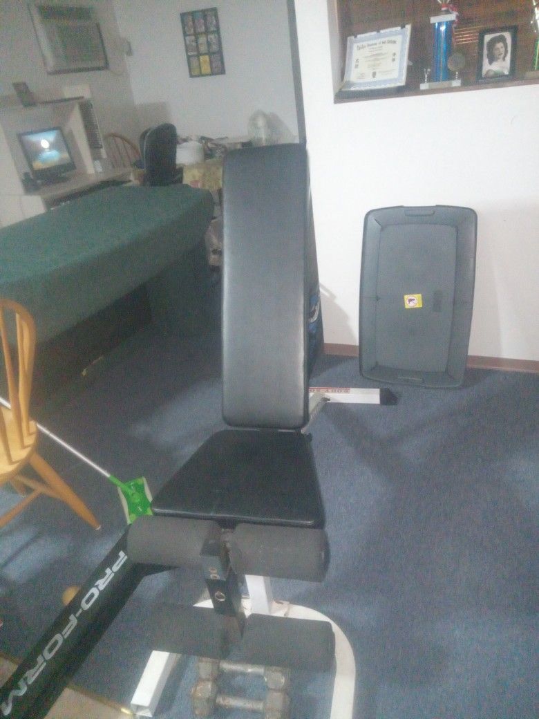 Body Solid Dumbbell Bench