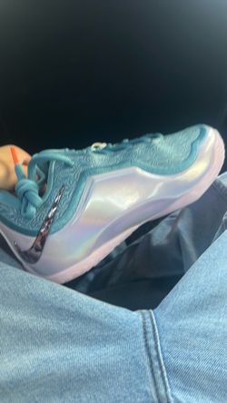 LeBron James Basketball Shoes