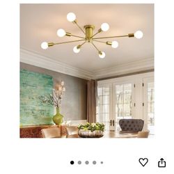 8 Bulb Light Fixture 
