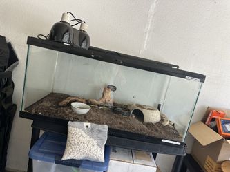 Big sturdy reptile 🦎 tank