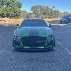 2019 Ford Mustang