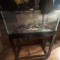 Fish Tank 55 Gallon 
