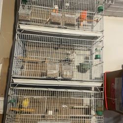 One Seat At Breeding Cage For Canari Finches 