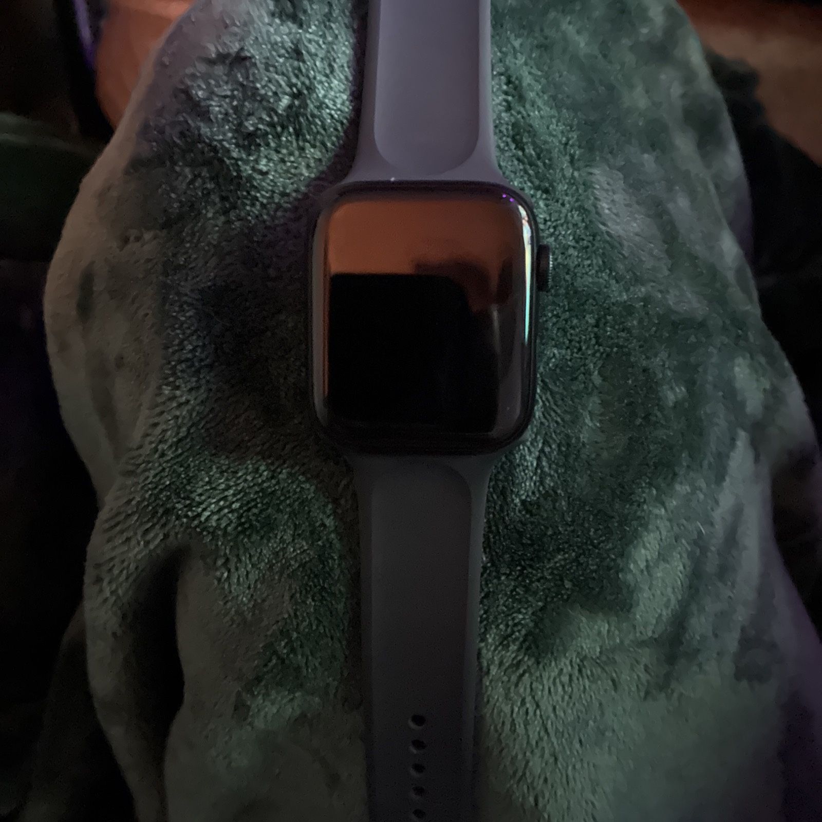Apple Watch Series 11 