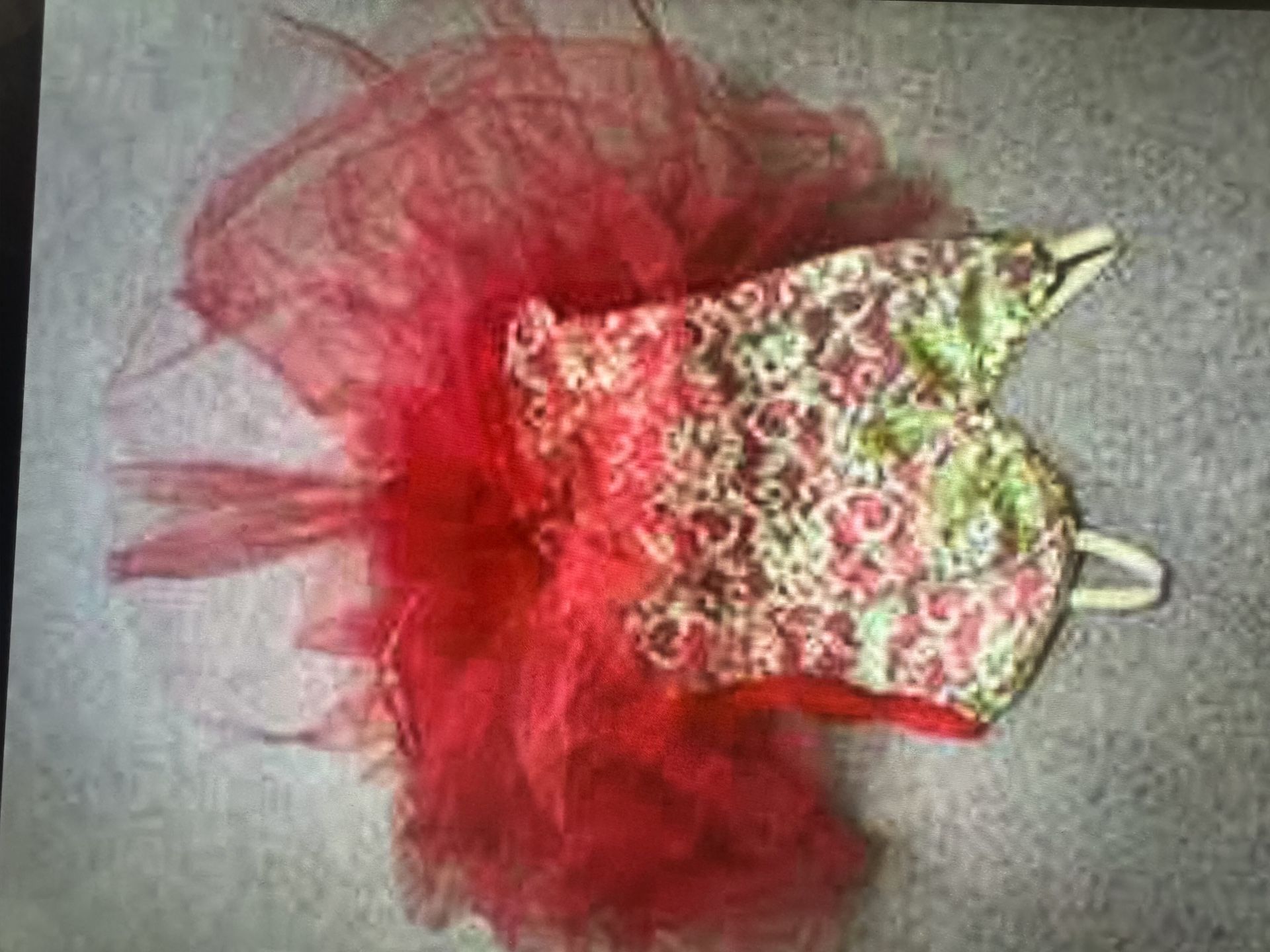 Vintage Small Red Tutu Costume 