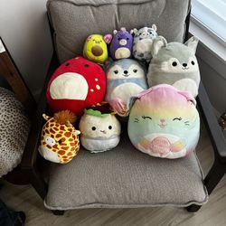 Squishmallows Entire Set! 