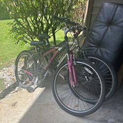 2 Schwinn Bicycles 