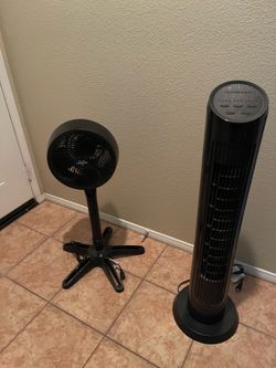 2 great fans