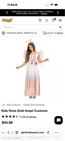 ROSE GOLD ANGEL COSTUME