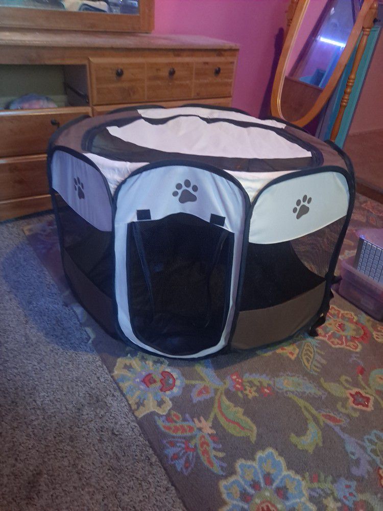 Dog Tent 