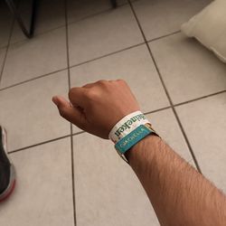 Coachella Sunday