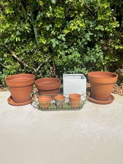 Assorted terrecotta and ceramic planters
