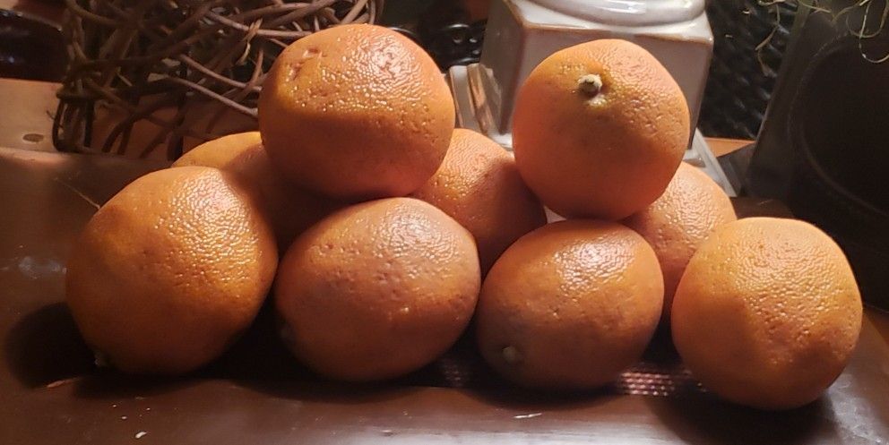 10 Life Size Lemons. Nice Weighted Faux Fruit