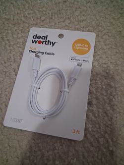 Ipad or iPhone charger