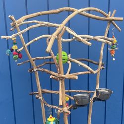 Parrot Perch Tree… Custom Made …, Hard Durable Ribbon Wood 🪵!! 👍🏼
