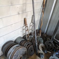 Workout Olympic Plates, Benches, Racks, Dumbbells And More!