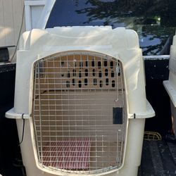 Dog Kennel