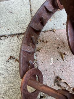 Newhouse large trap 44”