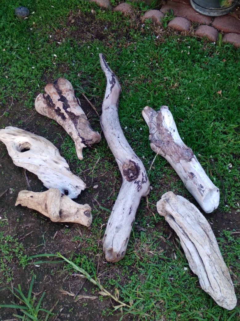 6 Pieces Of Natural Driftwood For Aquariums Terrariums Decor Etc