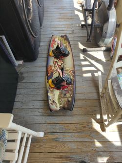 Professional Wakeboard