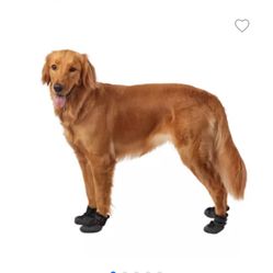 Dog Boots 